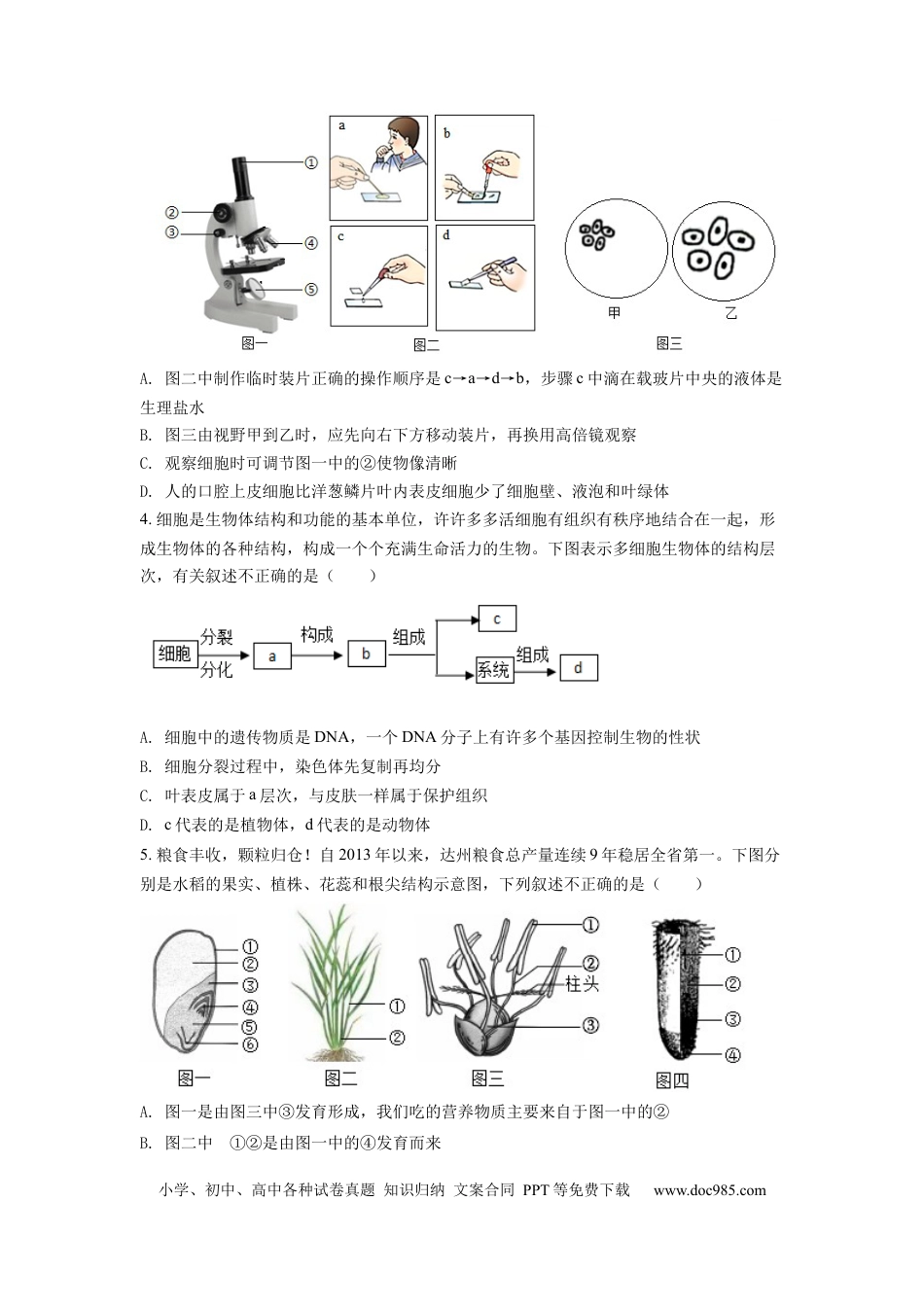 精品解析：2022年四川省达州市中考生物真题（原卷版）.docx