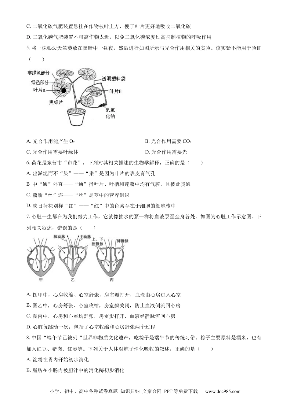 精品解析：2022年山东省东营市中考生物真题（原卷版）.docx