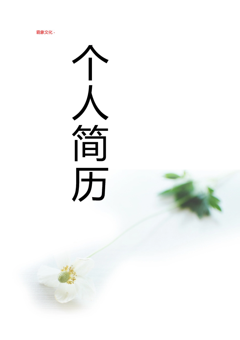 【简历封面】1000套 简历模板封面+表格 (115)  免费下载.doc