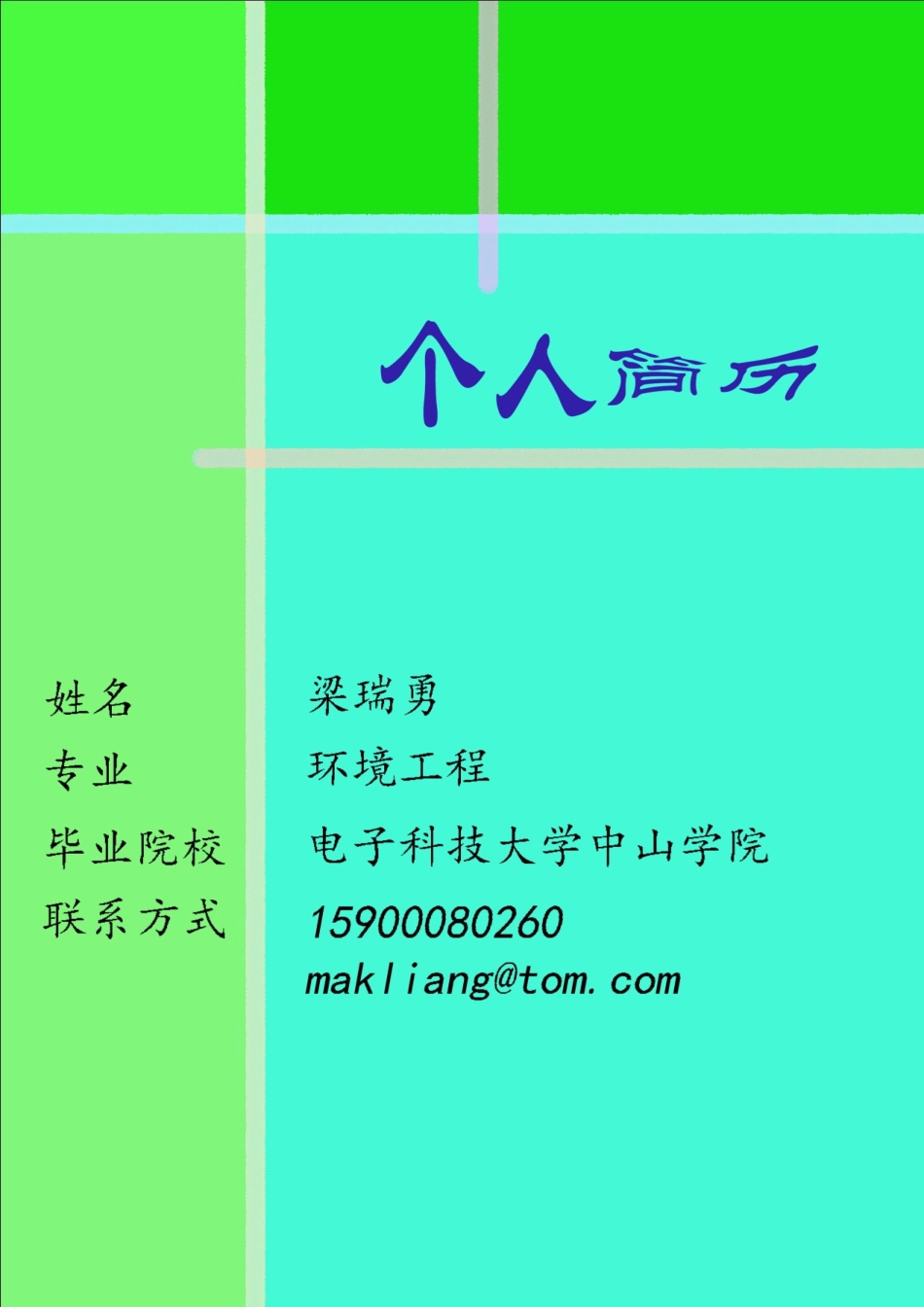 详细型简历模板 简历模板016-多色彩表格  免费下载.doc