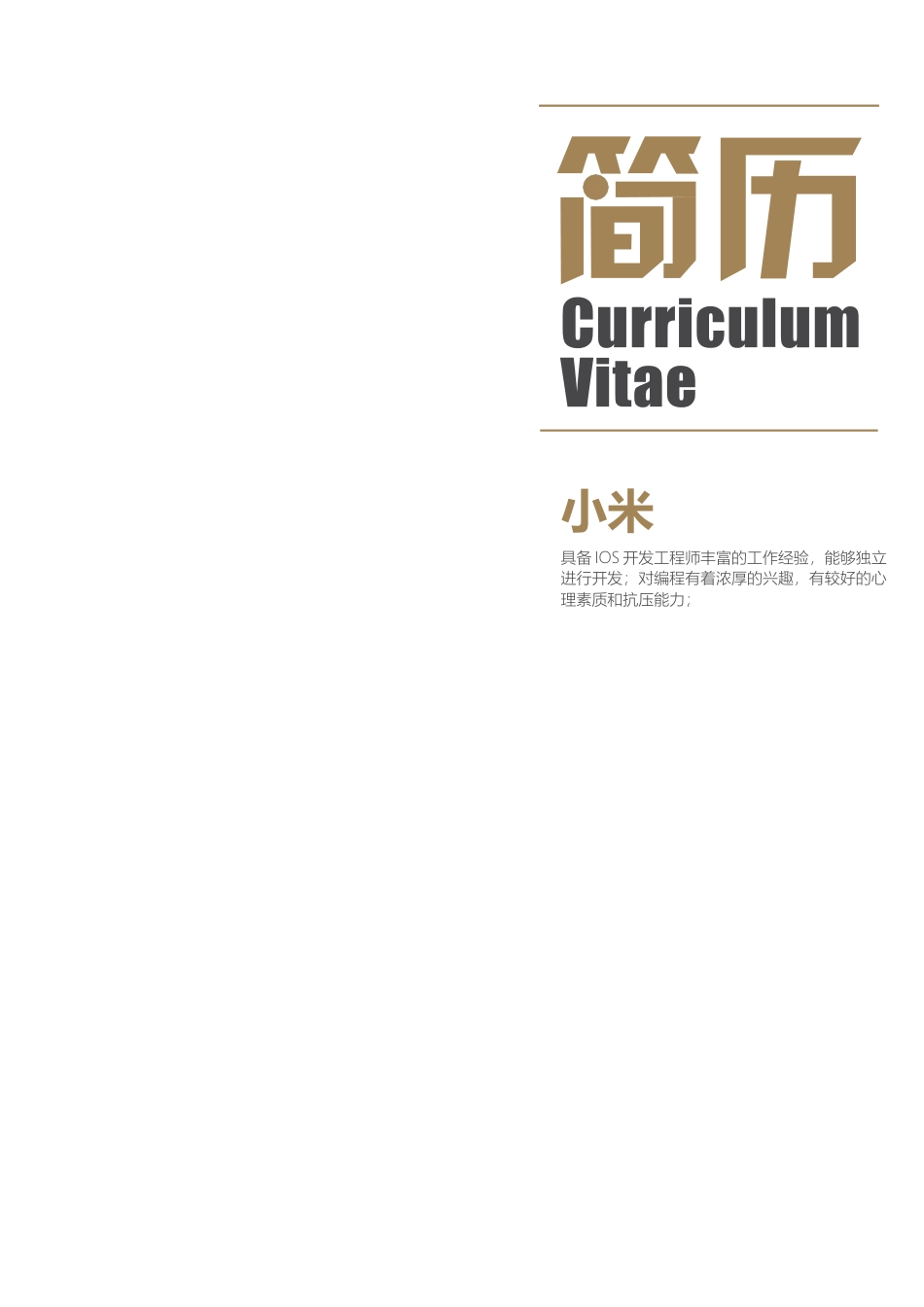 优质简历（4页） 简历模板2 (2)  免费下载.docx
