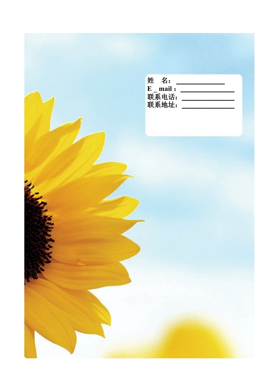 087.朝气葵花_表格式_适用于在职人员_1页式_无内容_有封面.doc