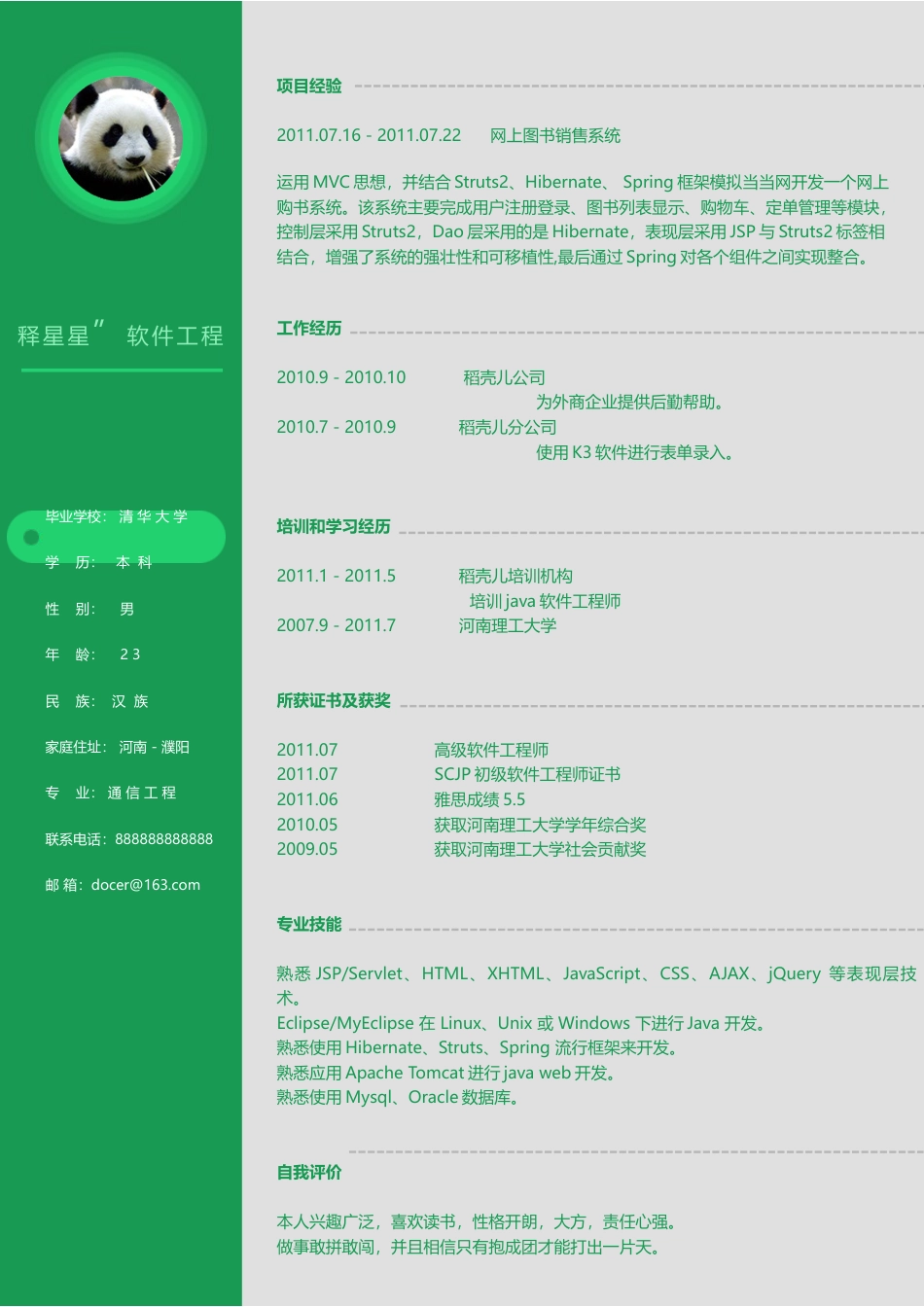 软件工程师清凉夏天个性简历.docx