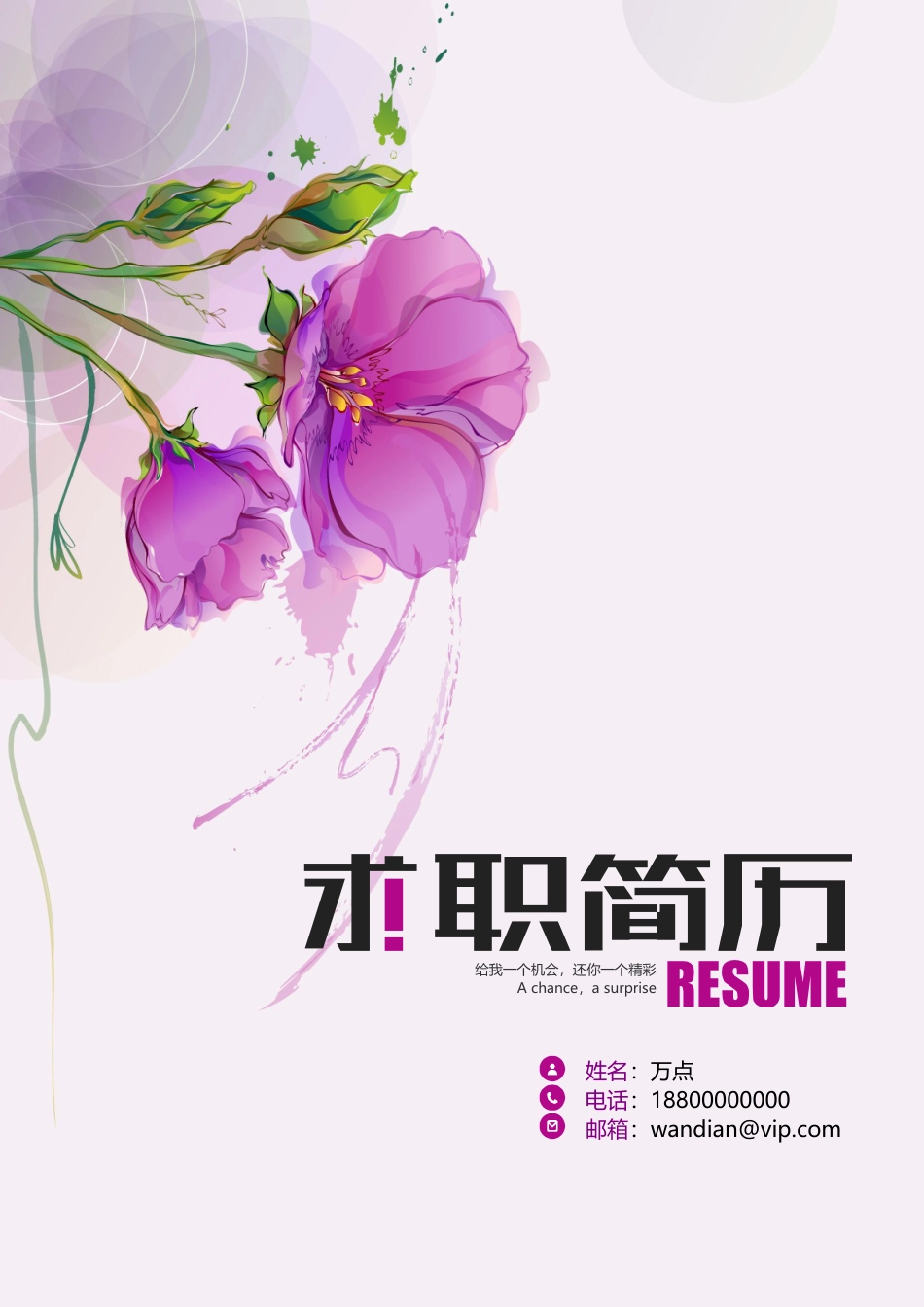 唯美水墨花简历.doc