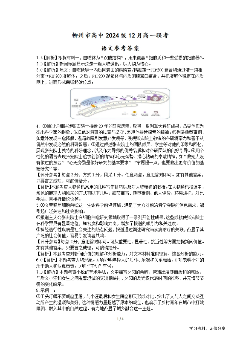 柳州市2024-12月高一联考语文答案高一语文 模拟题.pdf