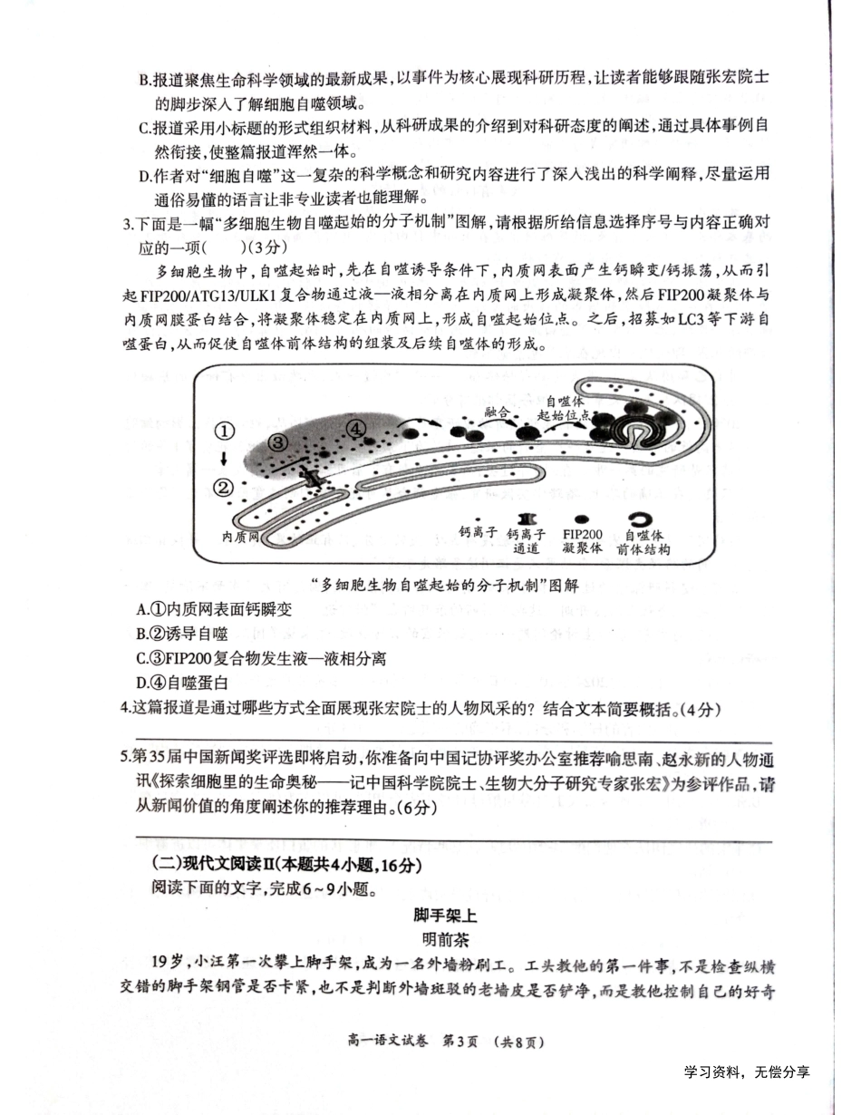 柳州市2024-12月高一联考语文试卷高一语文 模拟题.pdf