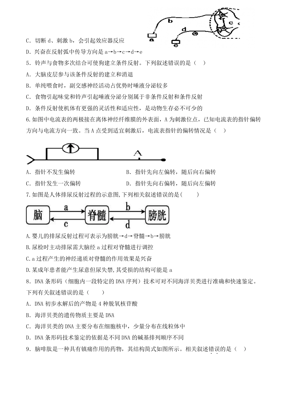 河南省焦作市武陟县第一中学2026-2027学年高二上学期开学考试生物试题（含答案）.pdf