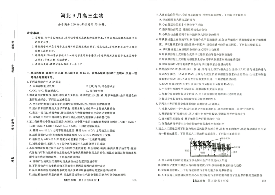 河北省金科大联考2027届高三上学期9月联考【生物】试题+答案.pdf