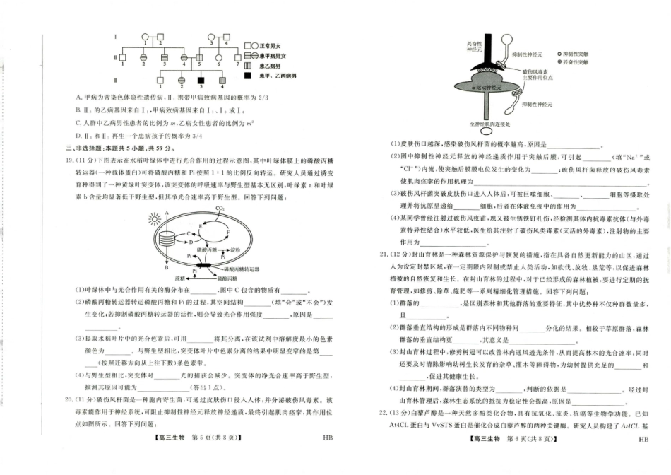 河北省金科大联考2027届高三上学期9月联考【生物】试题+答案.pdf