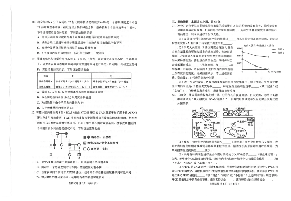 山东省九五联盟2026-2027学年高三上学期9月学习质量综合评估【生物】试题+答案.pdf