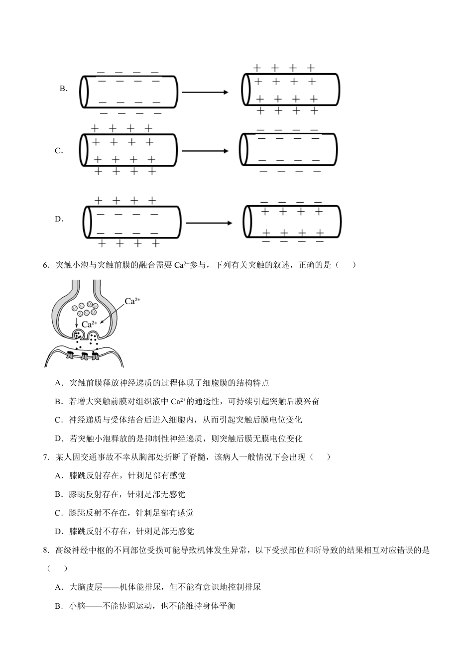 云南玉溪一中（北校区）2026-2027学年高二上学期开学考试生物试卷（含答案）.pdf