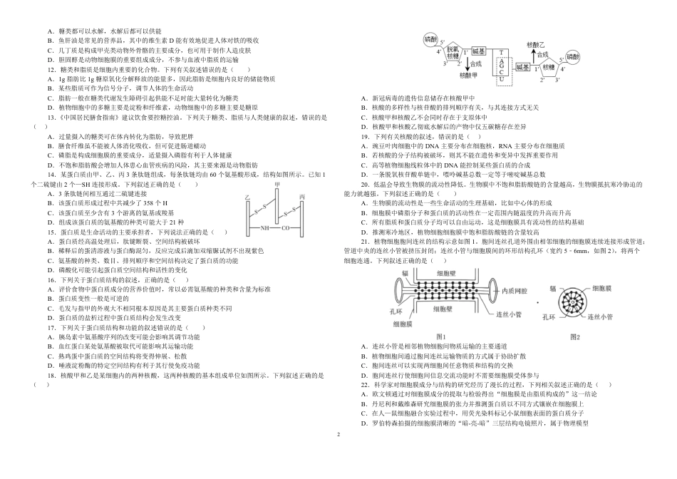 湖北省襄阳市第四中学2026-2027学年高一上学期8月素养测试生物试题（含答案）.pdf