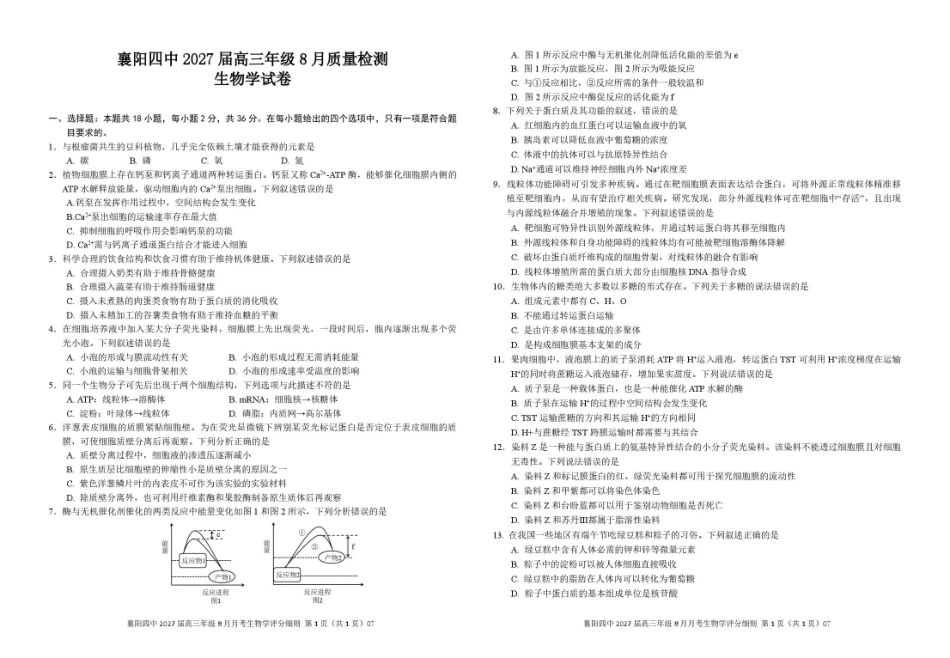 湖北省襄阳四中2027届高三年级8月质量检测【生物】试题+答题卡+答案.pdf