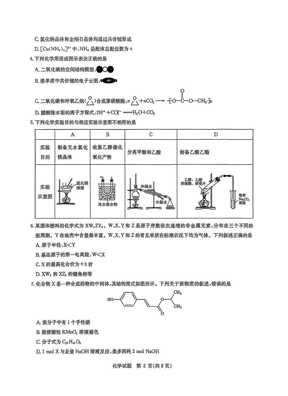 华大新高考联盟2026届高三上学期11月测评化学试题+答案.pdf