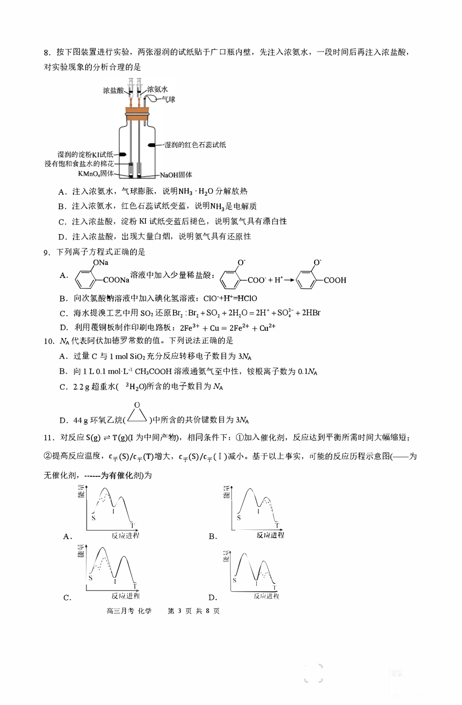 广东南方科技大学附属中学高三化学上学期第五次月考试卷和答案.pdf
