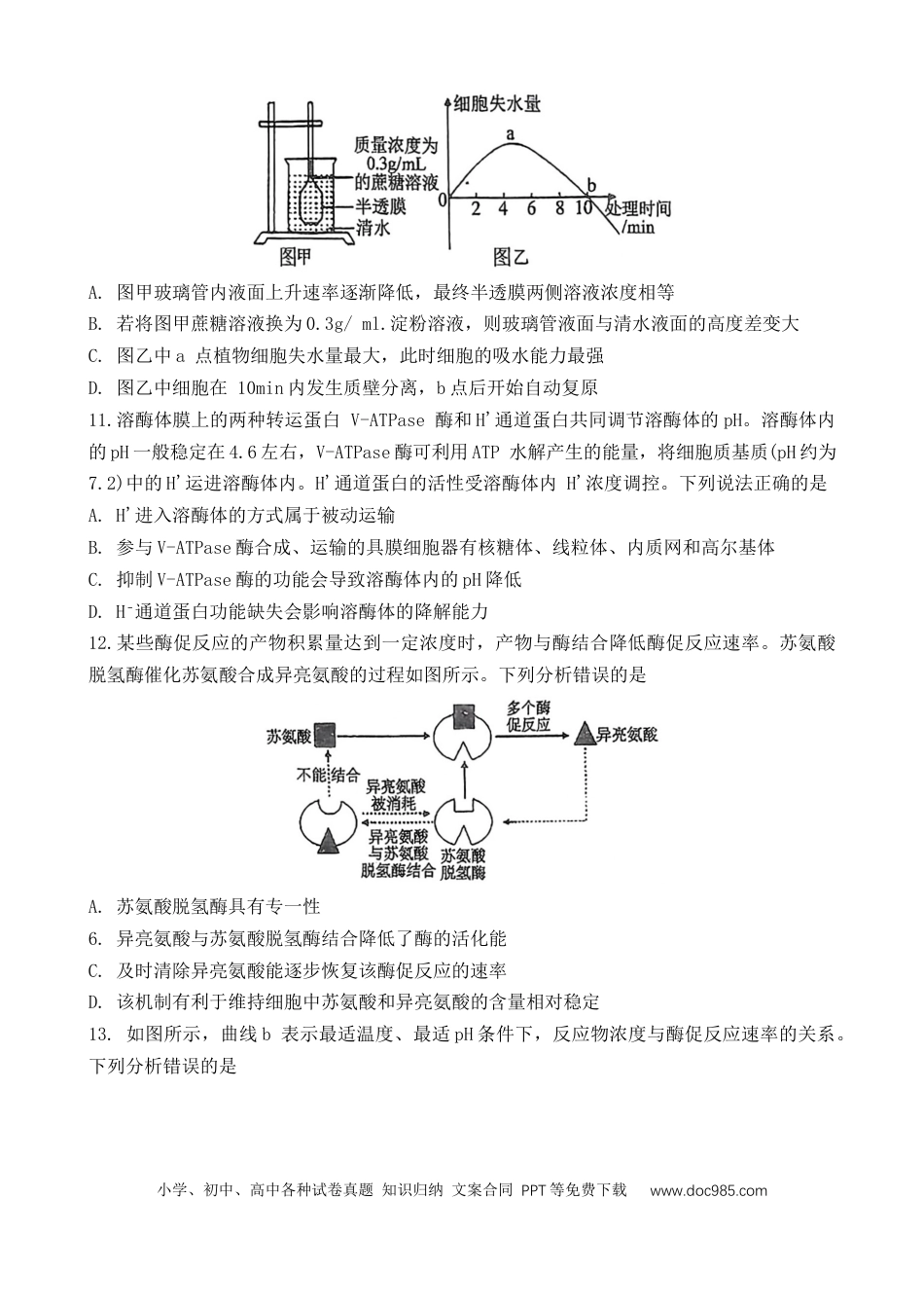 高一数学模拟题辽宁省大连市第八中学2024-2025学年高一上学期12月月考试题 生物 Word版含答案.docx