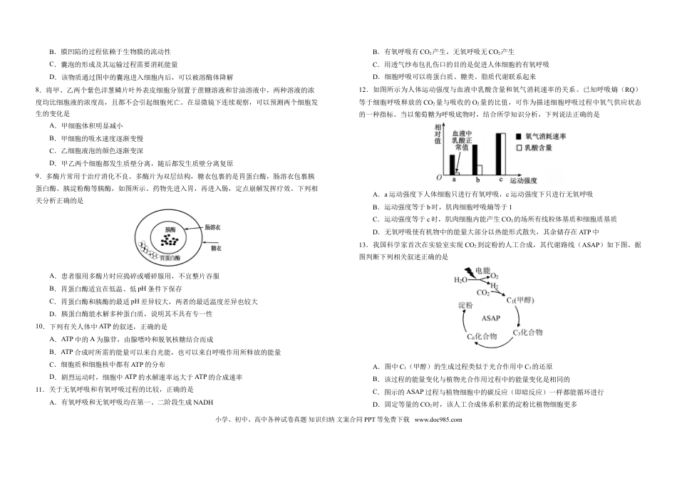 高一数学模拟题吉林省普通高中G8教考联盟2024-2025学年高一上学期期末考试 生物 Word版含解析.doc