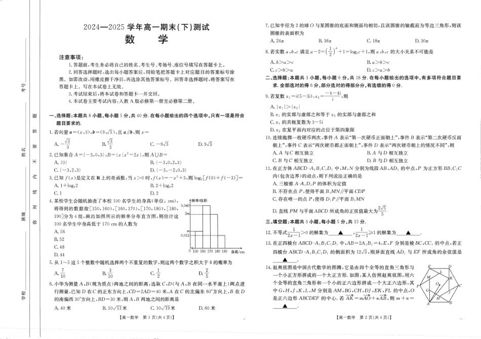 高一数学模拟题河南新乡2024-2025学年下学期高一数学试卷（期末考试）.pdf