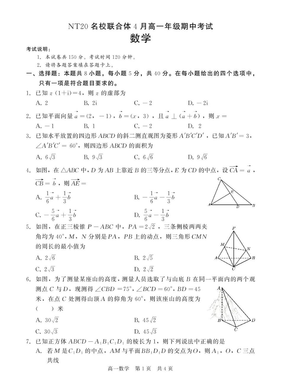 高一数学模拟题河北省NT20名校联合体2024-2025学年高一下学期4月期中考试 数学 PDF版含解析.pdf