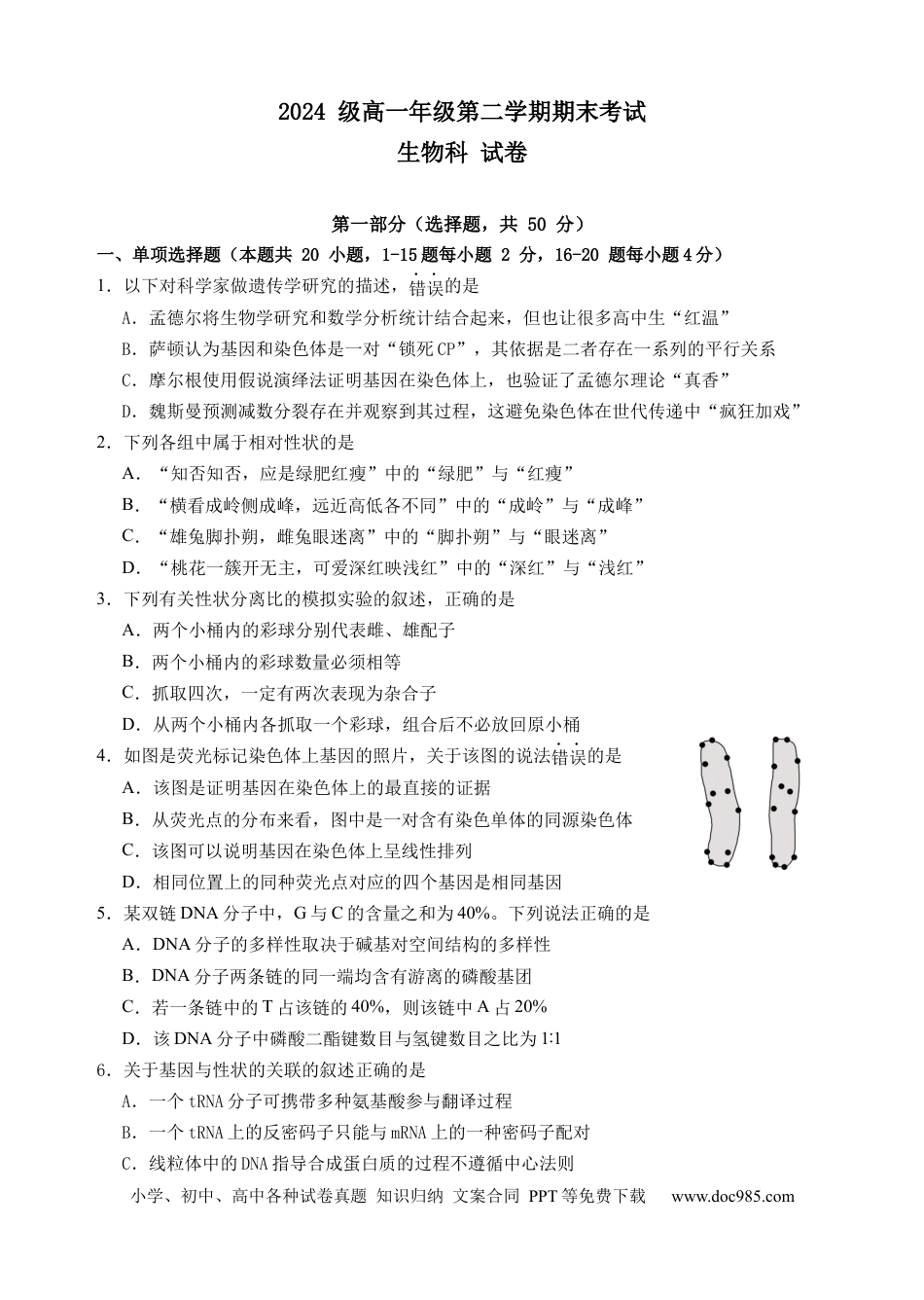 高一数学模拟题2025期末考试10版.docx