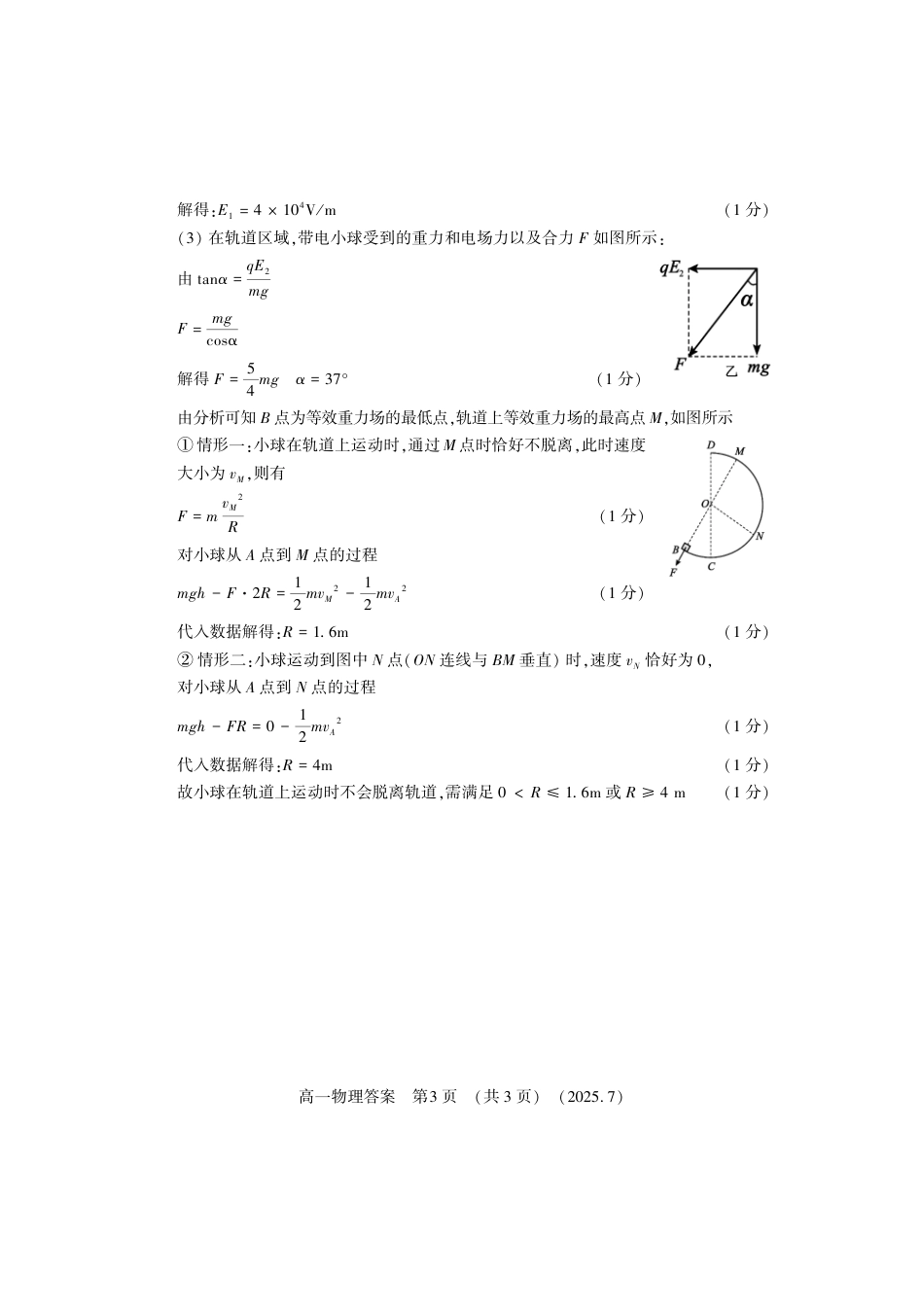 高一物理模拟题   物理答案-洛阳市2024-2025高一下期末.pdf