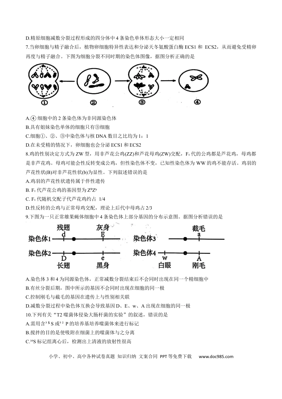 高一物理模拟题   天津市五区县重点校联考2024-2025学年高一下学期4月期中生物试卷.docx