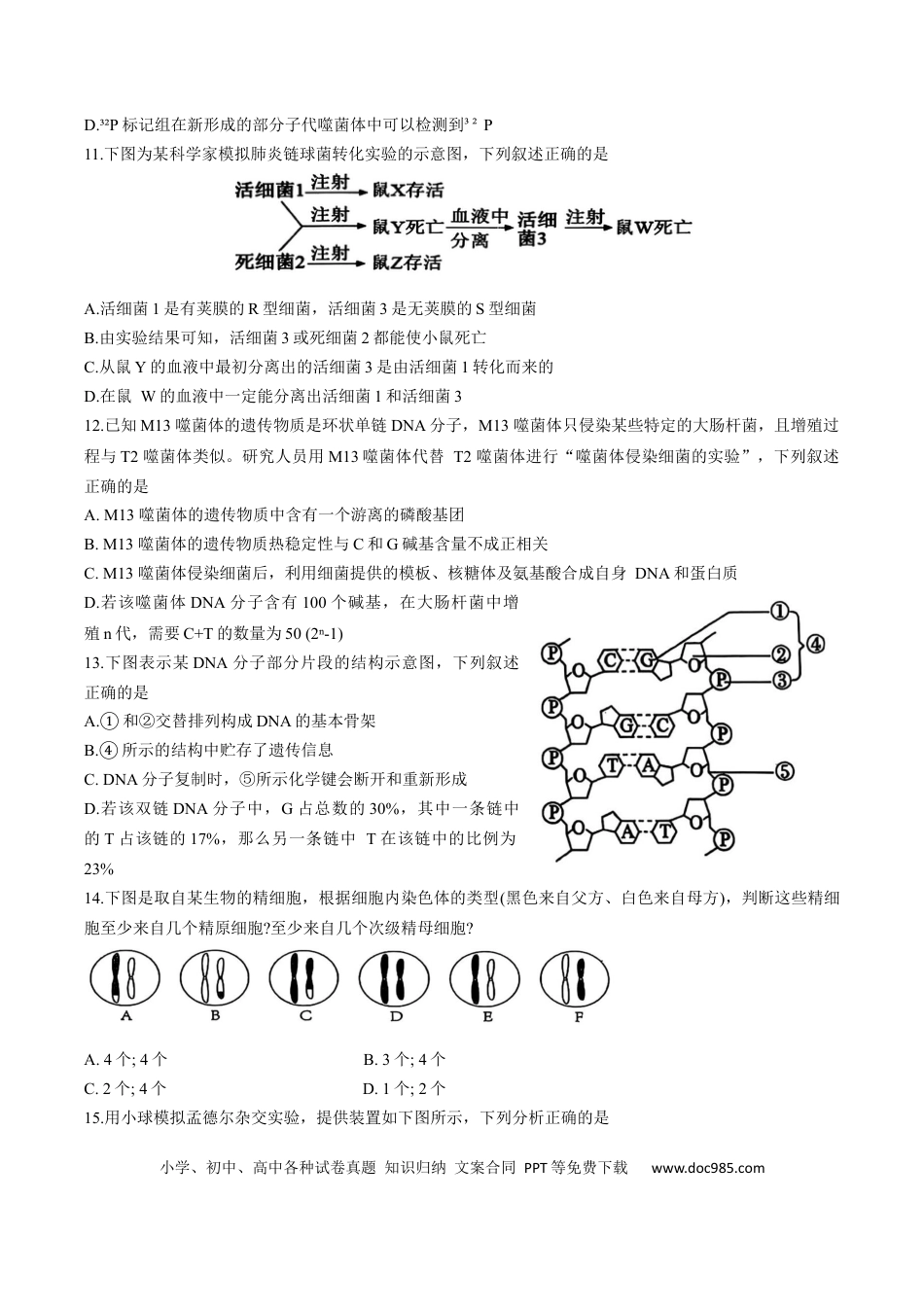 高一物理模拟题   天津市五区县重点校联考2024-2025学年高一下学期4月期中生物试卷.docx