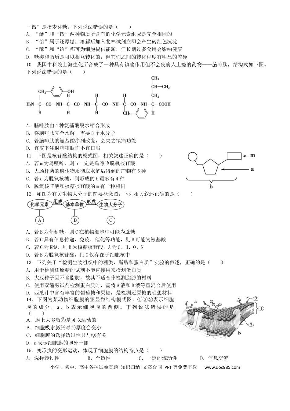 高一物理模拟题   四川省内江市威远中学2024-2025学年高一上学期12月月考生物试题 Word版含答案..docx