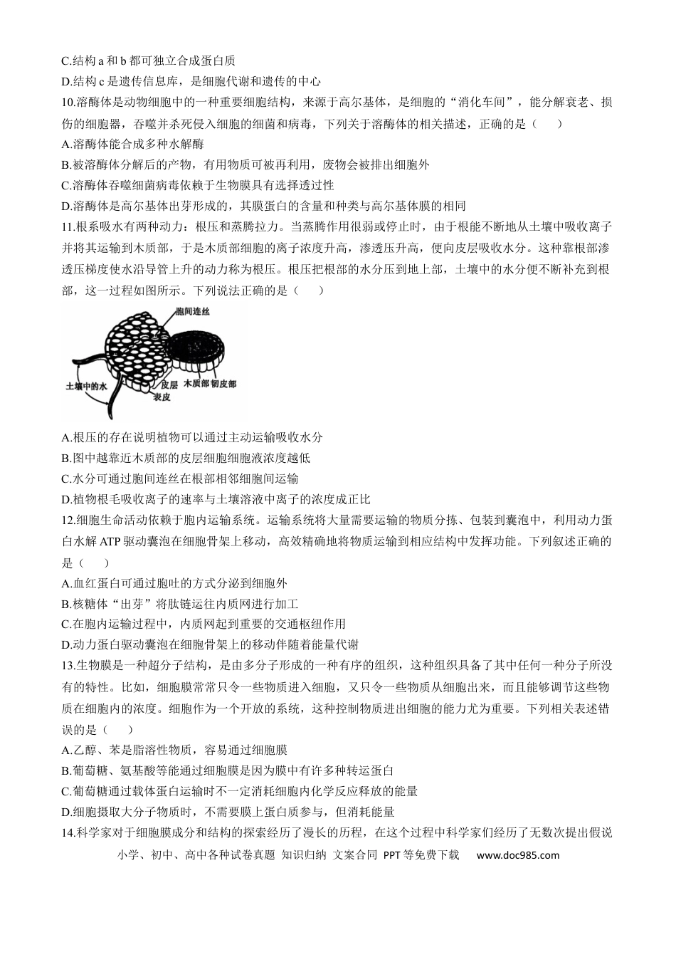 高一物理模拟题   辽宁省沈阳市郊联体2024-2025学年高一上学期11月期中考试 生物（含答案）.docx