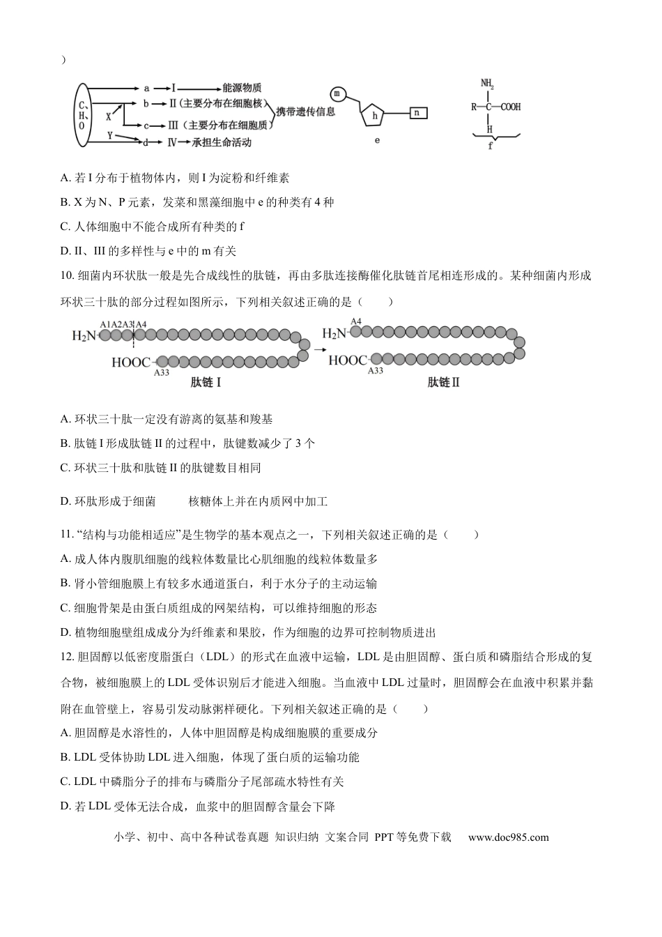 高一物理模拟题   精品解析：山东省济宁市第一中学2024-2025学年高一上学期11月期中生物试题（原卷版）.docx