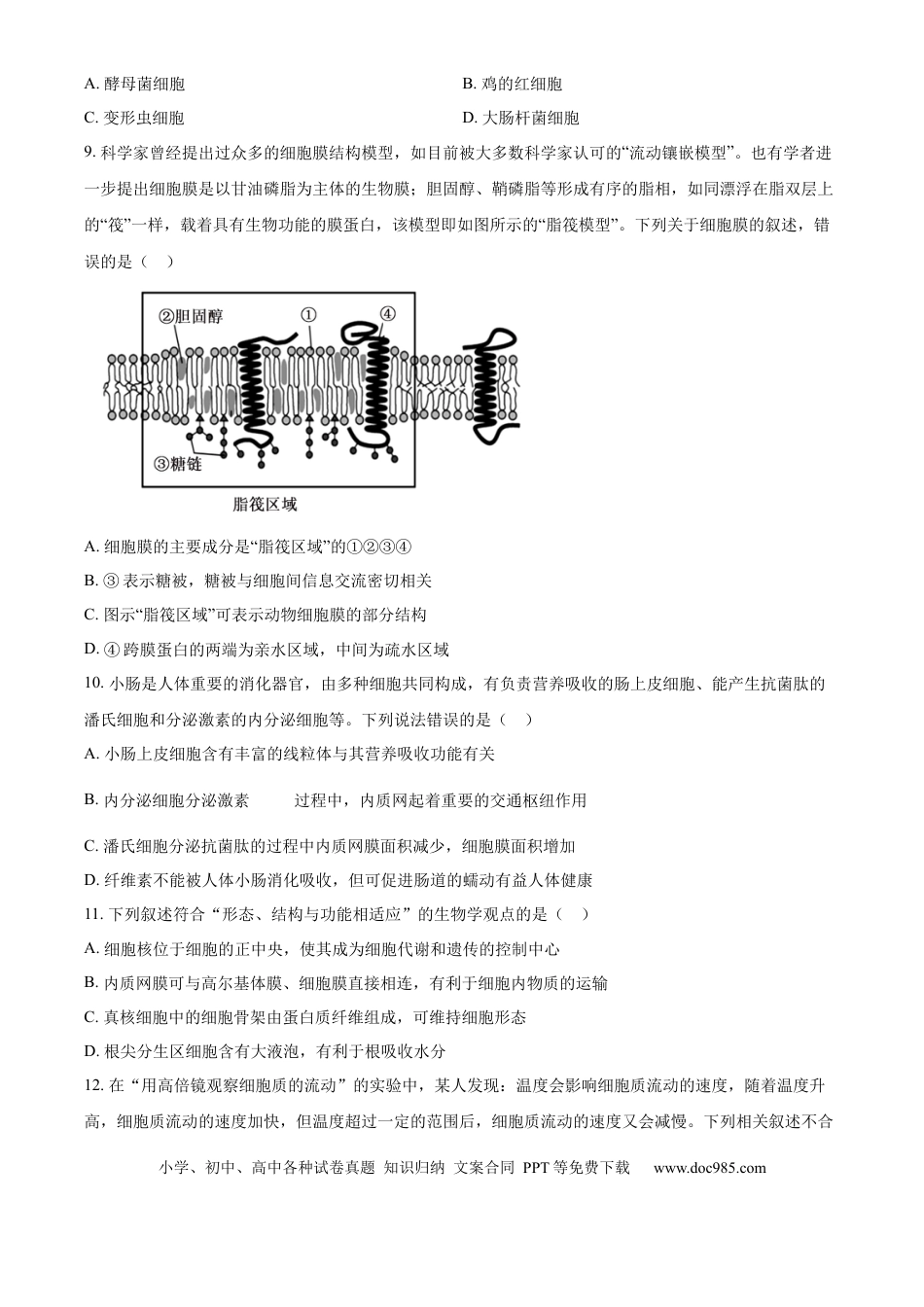 高一物理模拟题   精品解析：吉林省长春市第二实验中学2024-2025学年高一上学期期中考试生物试题（原卷版）.docx