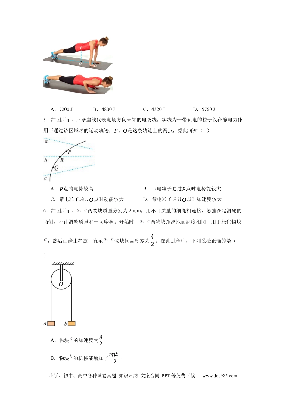 高一物理模拟题   江西省新余市2023-2024学年高一下学期期末物理试卷.docx