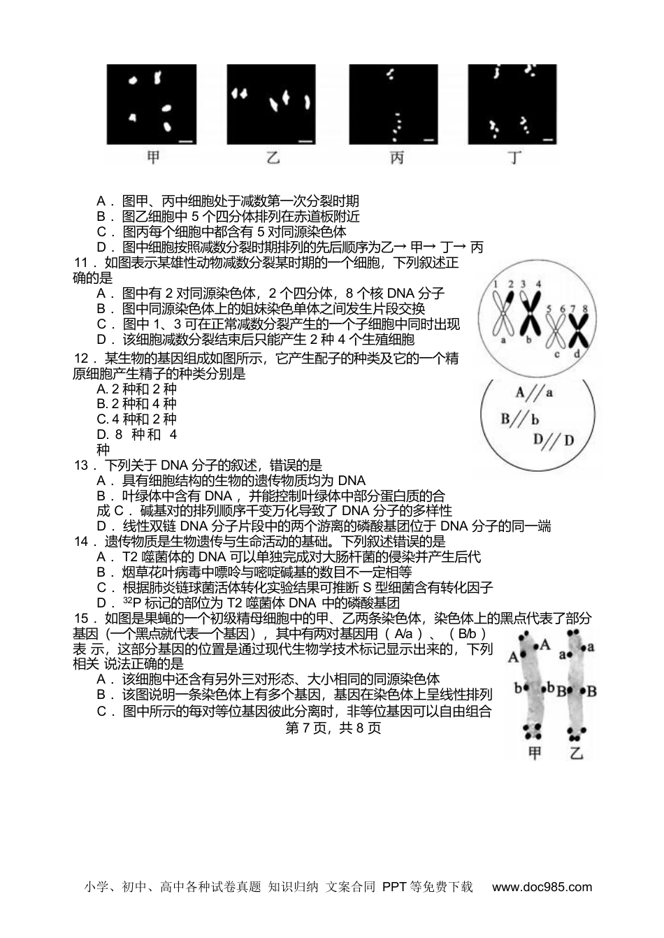 高一物理模拟题   江苏省盐城市五校联考2024-2025学年高一下学期4月期中考试生物试卷（有答案）.docx