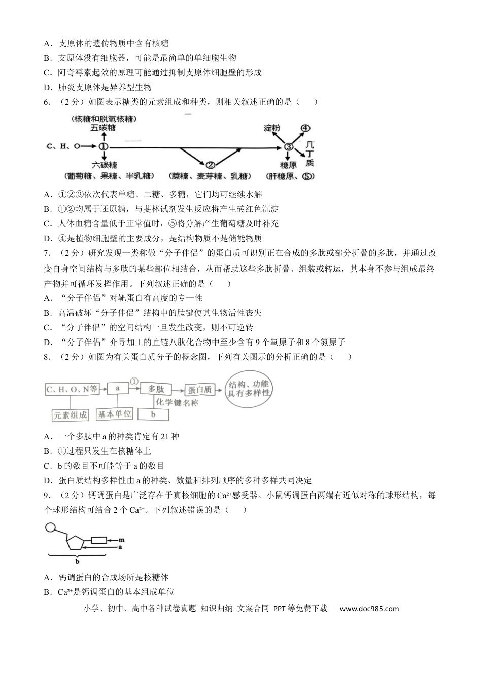 高一物理模拟题   湖北省重点高中智学联盟2024-2025学年高一上学期12月月考生物试题.docx