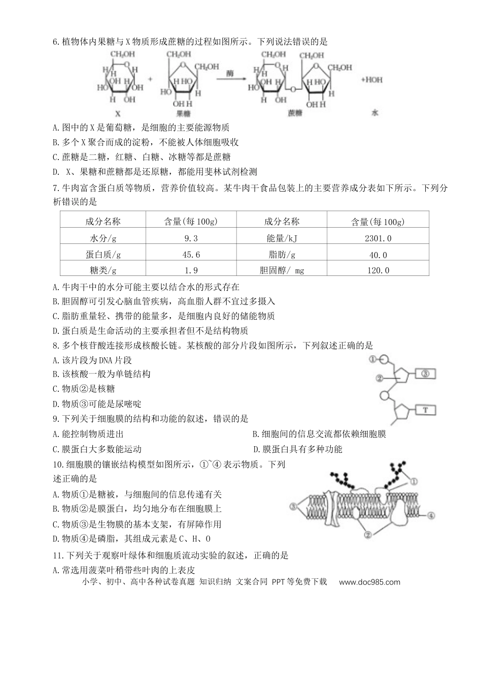 高一物理模拟题   河南省部分学校2024-2025学年高一上学期选科考试 生物 Word版含解析.docx