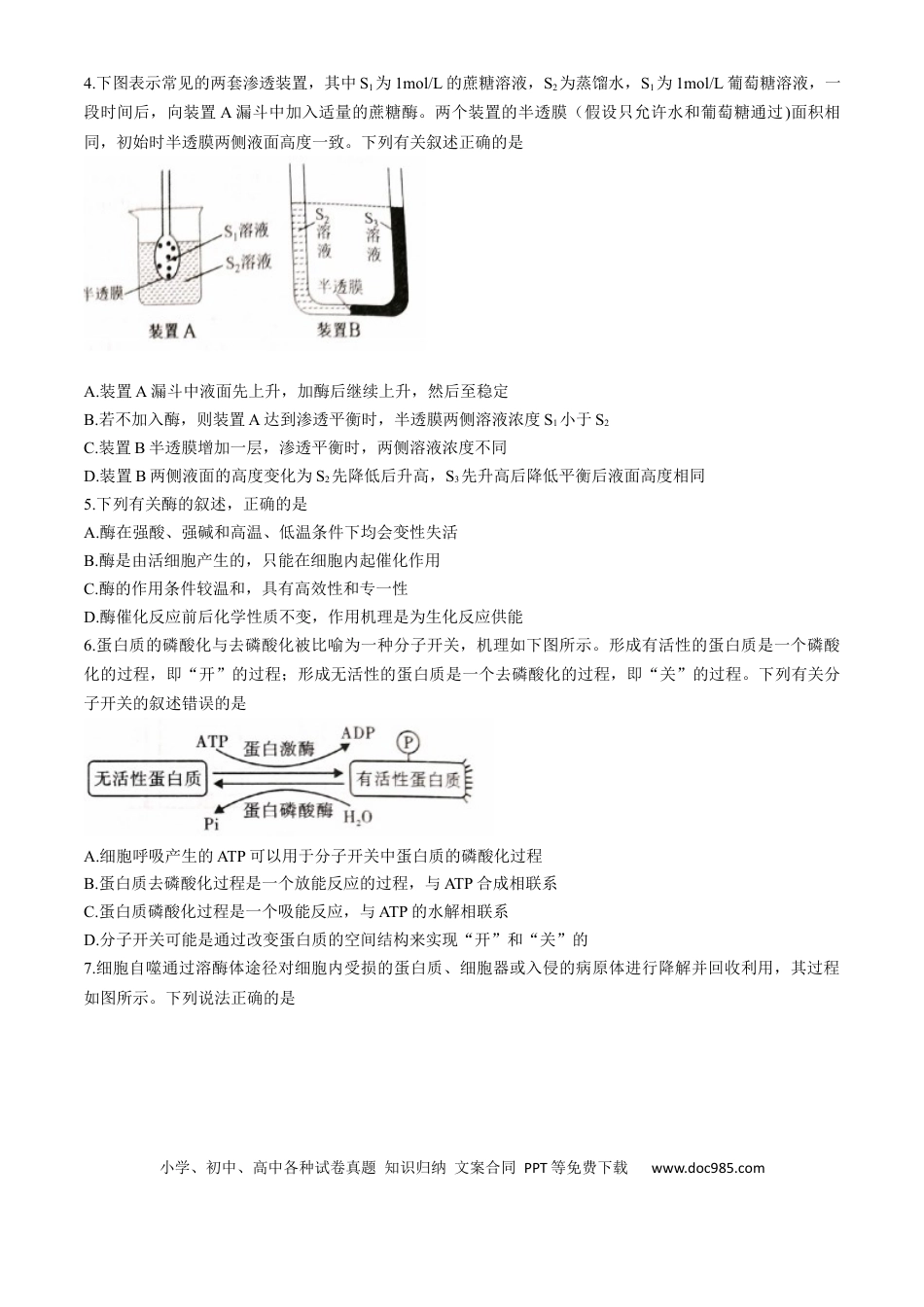 高一物理模拟题   河北省石家庄市2024-2025学年高一上学期期末生物试卷.docx