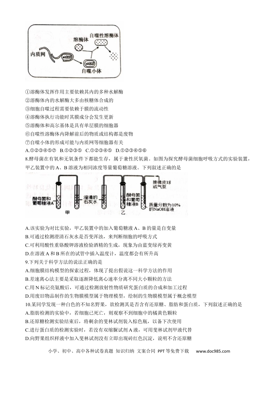 高一物理模拟题   河北省石家庄市2024-2025学年高一上学期期末生物试卷.docx