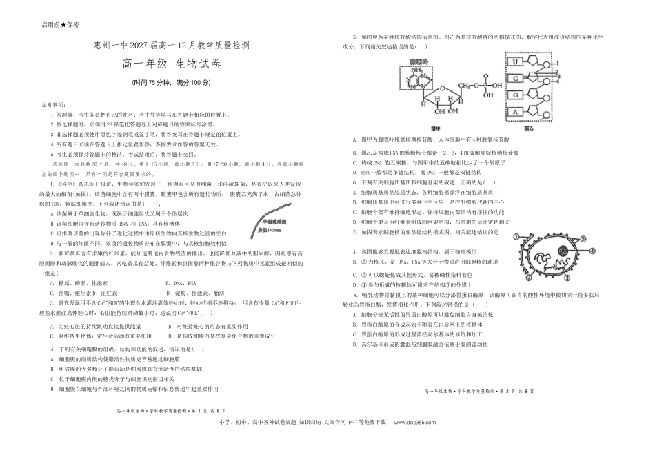 高一物理模拟题   广东省惠州市第一中学2024-2025学年高一上学期12月月考生物试题.docx