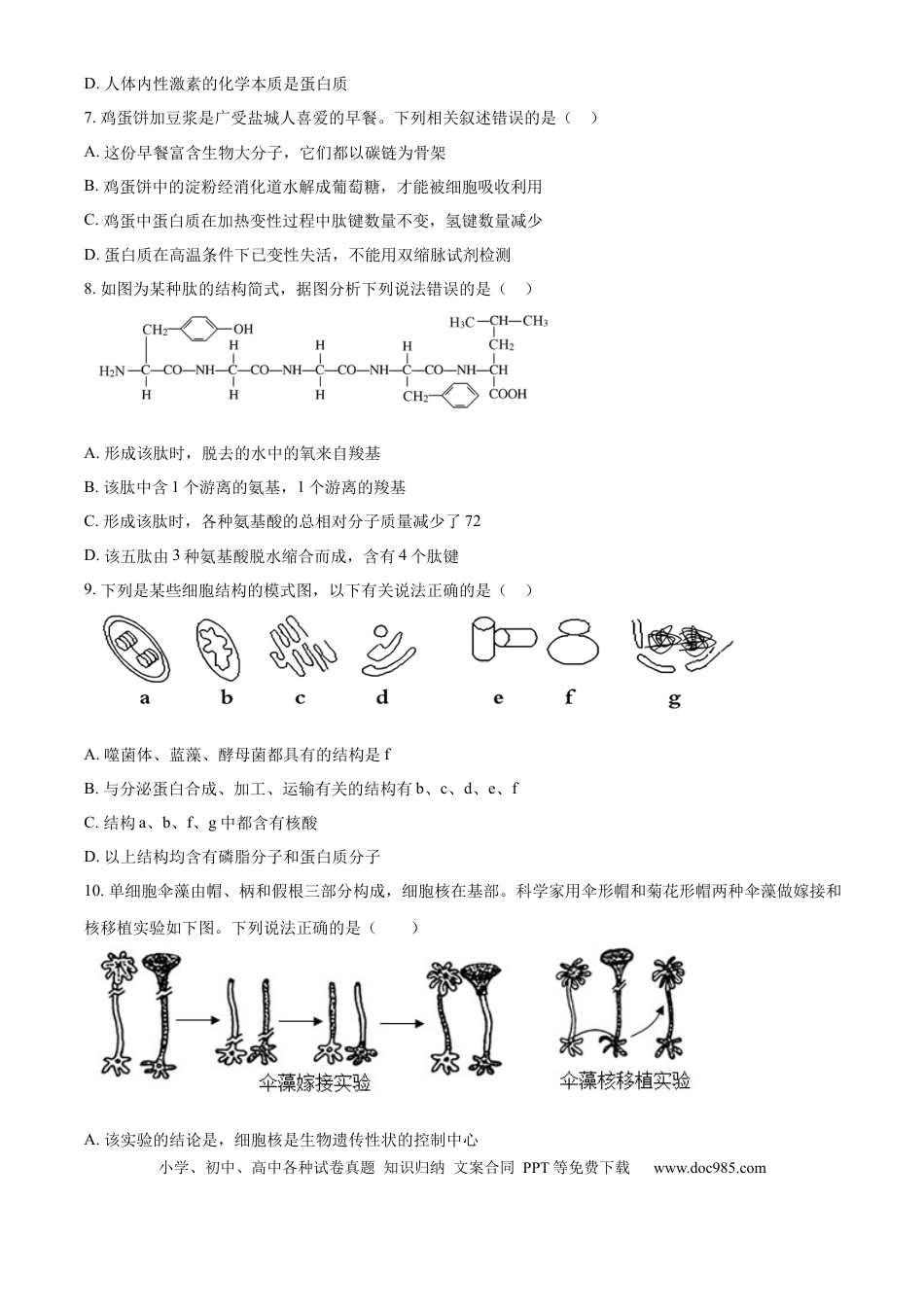高一物理模拟题   甘肃省天水市甘谷县2024-2025学年高一上学期11月月考生物试题  Word版无答案.docx