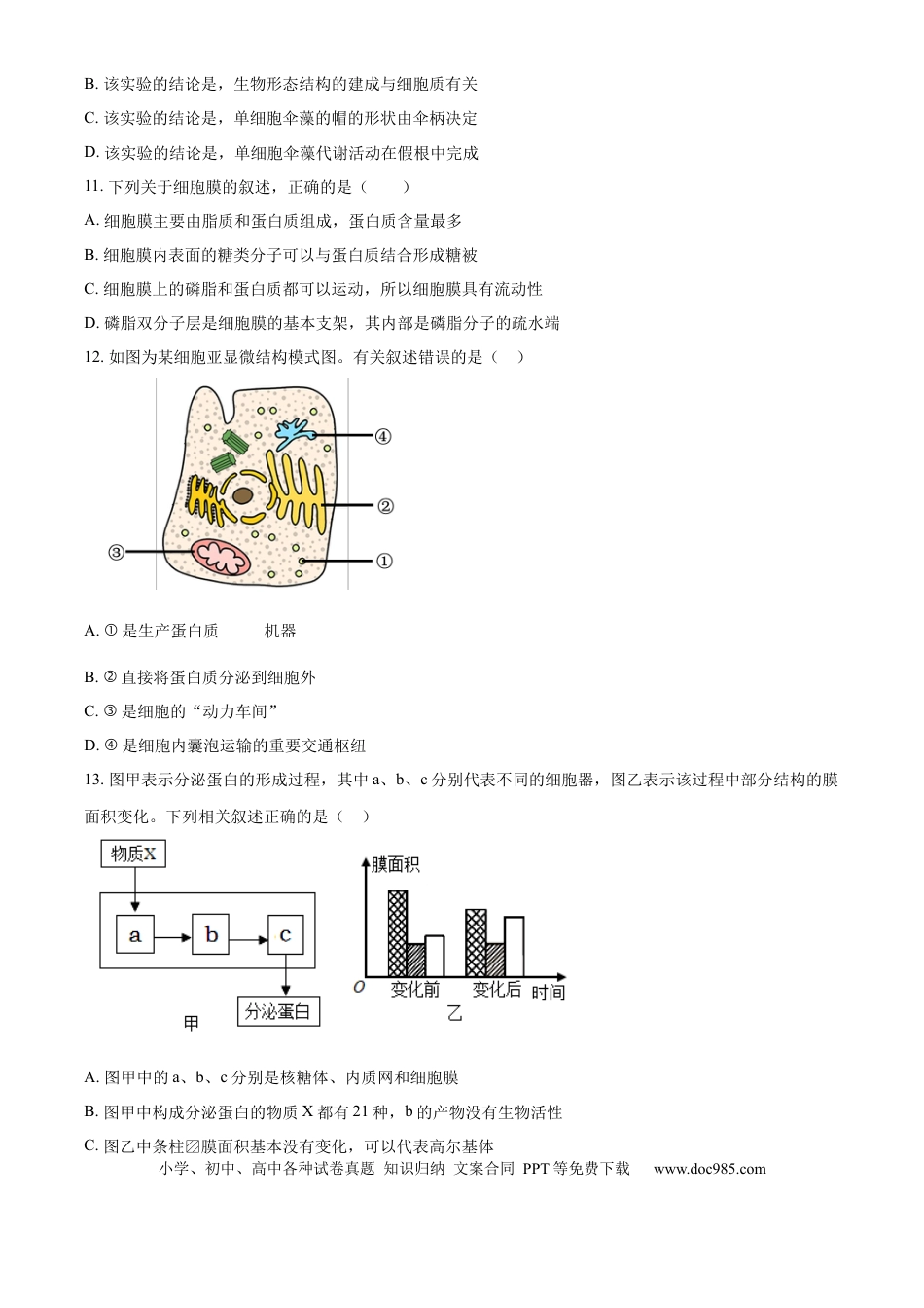 高一物理模拟题   甘肃省天水市甘谷县2024-2025学年高一上学期11月月考生物试题  Word版无答案.docx