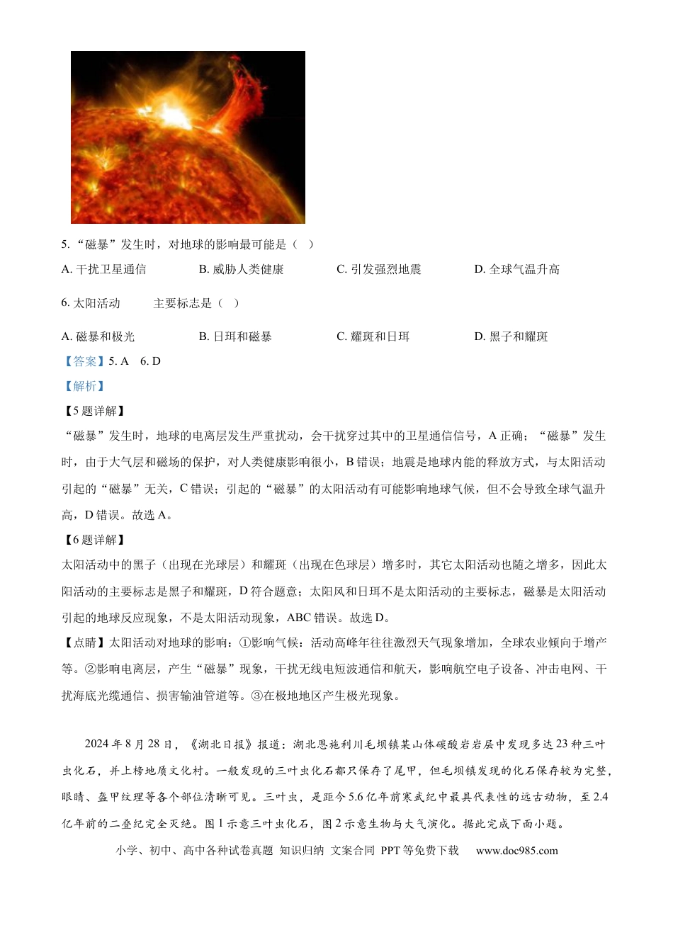 高一物理模拟题   福建省福州市福九联盟2024-2025学年高一上学期11月期中地理试题  Word版含解析.docx
