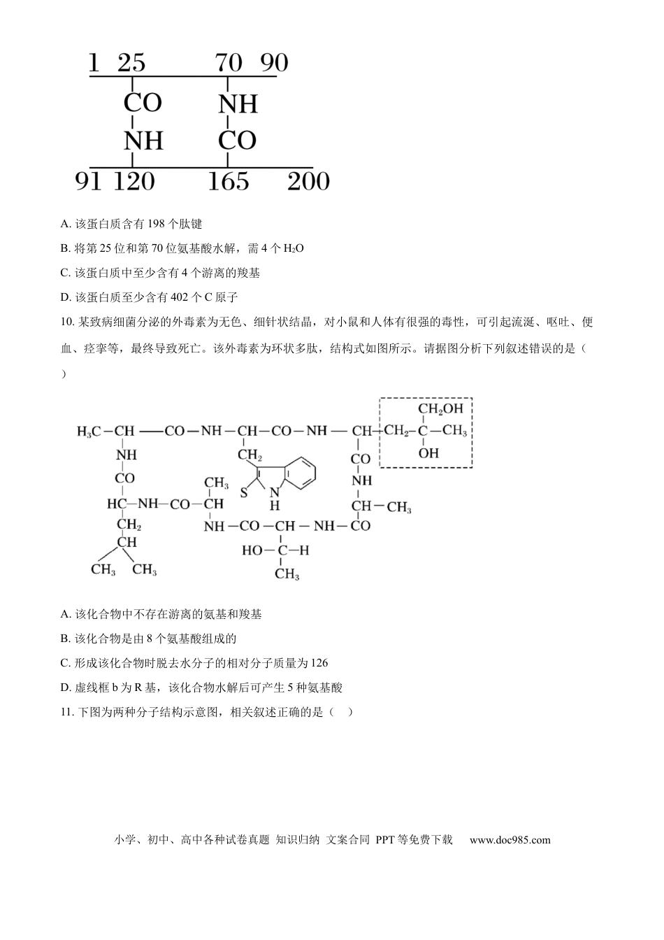 高一物理模拟题   福建省福州市福9联盟校2024-2025学年高一上学期11月期中生物试题  Word版无答案.docx