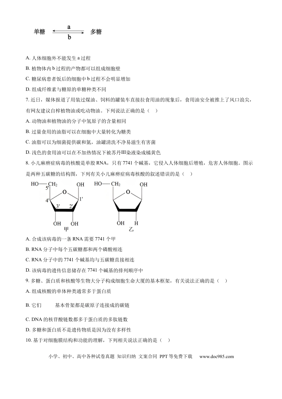 高一物理模拟题   安徽省鼎尖教育2024-2025学年高一上学期11月期中考试生物A卷试题  Word版无答案.docx