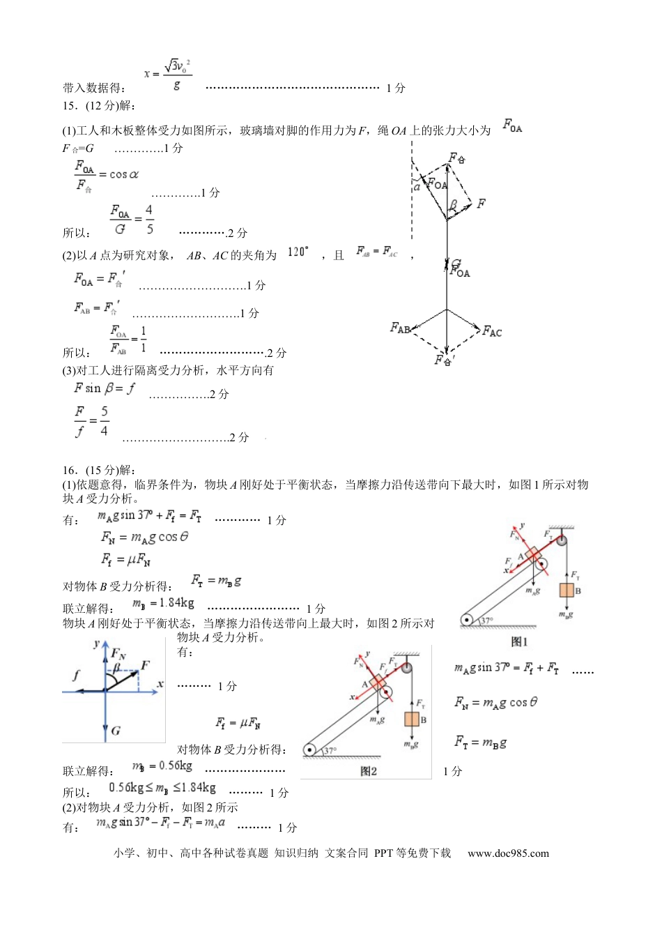 高一物理模拟题   2024-2025高一上期末物理参考答案.docx