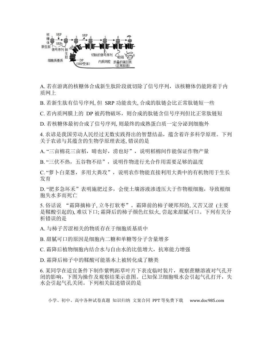 辽宁省实验中学2026年2月高一下学期期初试卷生物学(含答案).docx