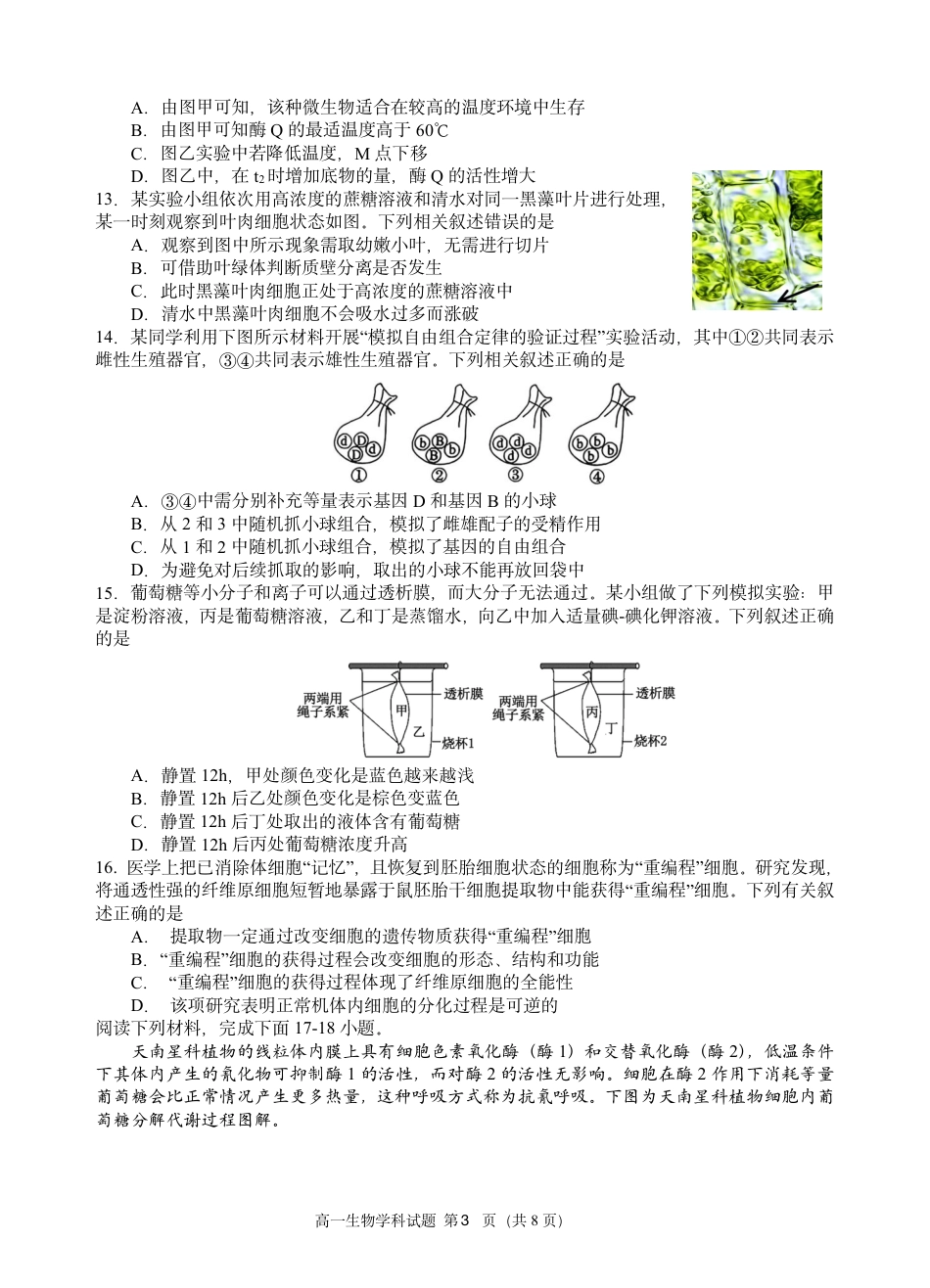 高一生物试题.pdf