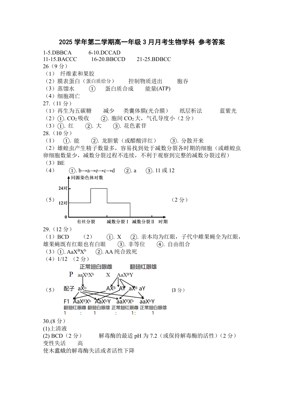 高一生物答案.pdf