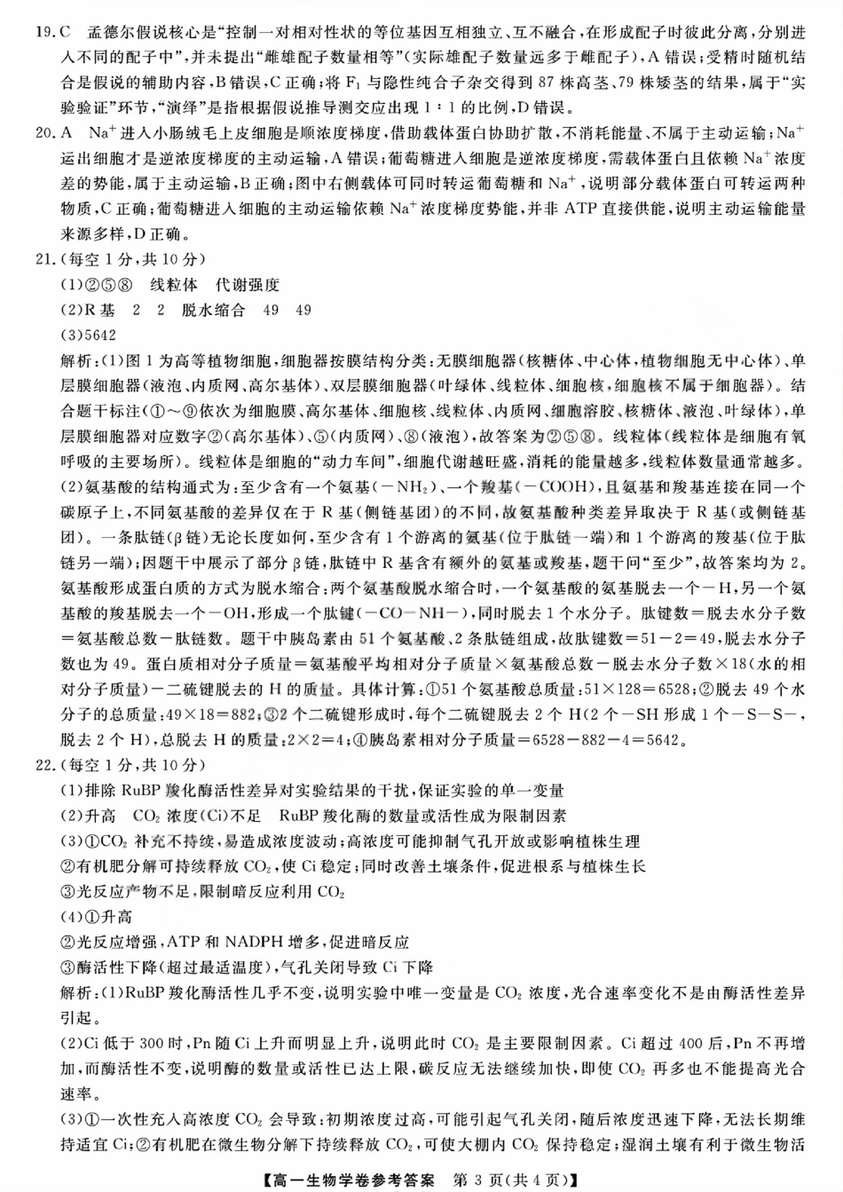 强基联盟高一生物答案.pdf