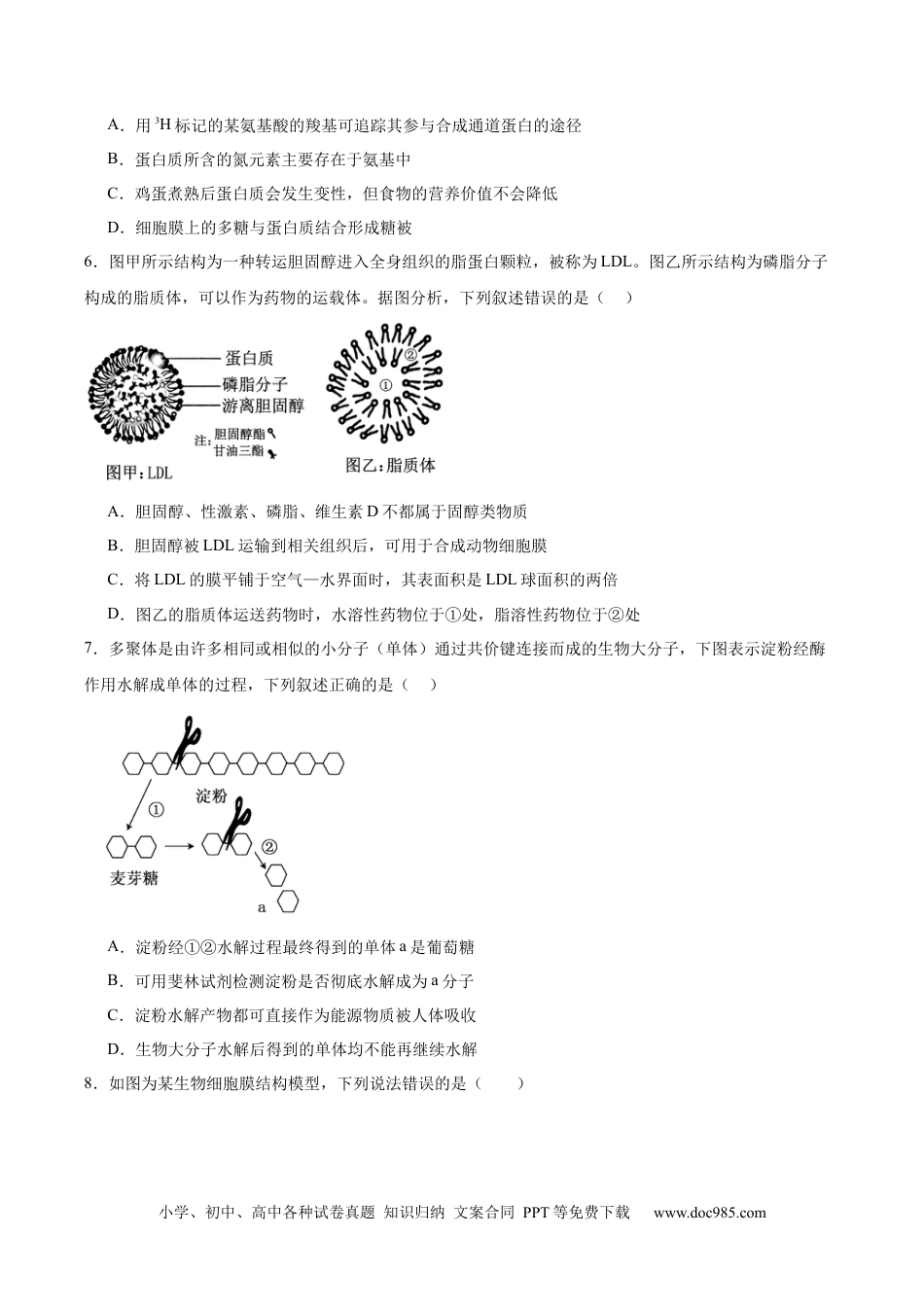 邵阳市第二中学2025-2026学年高一下学期入学测试生物试卷.docx