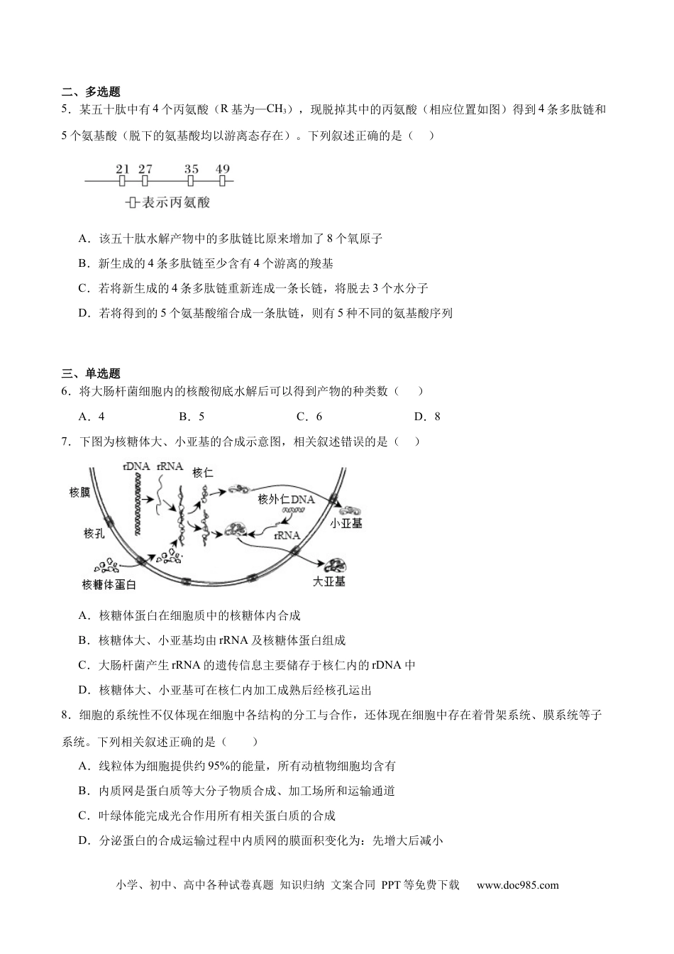 河北安平中学2025-2026学年高一下学期寒假作业测试生物试卷.docx